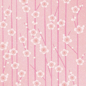 Meet your Posher, Mariam